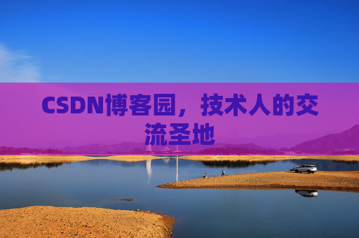 CSDN博客园，技术人的交流圣地